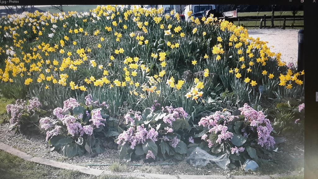 Bridge Farm Guesthouse Rooms Dundry Bagian luar foto