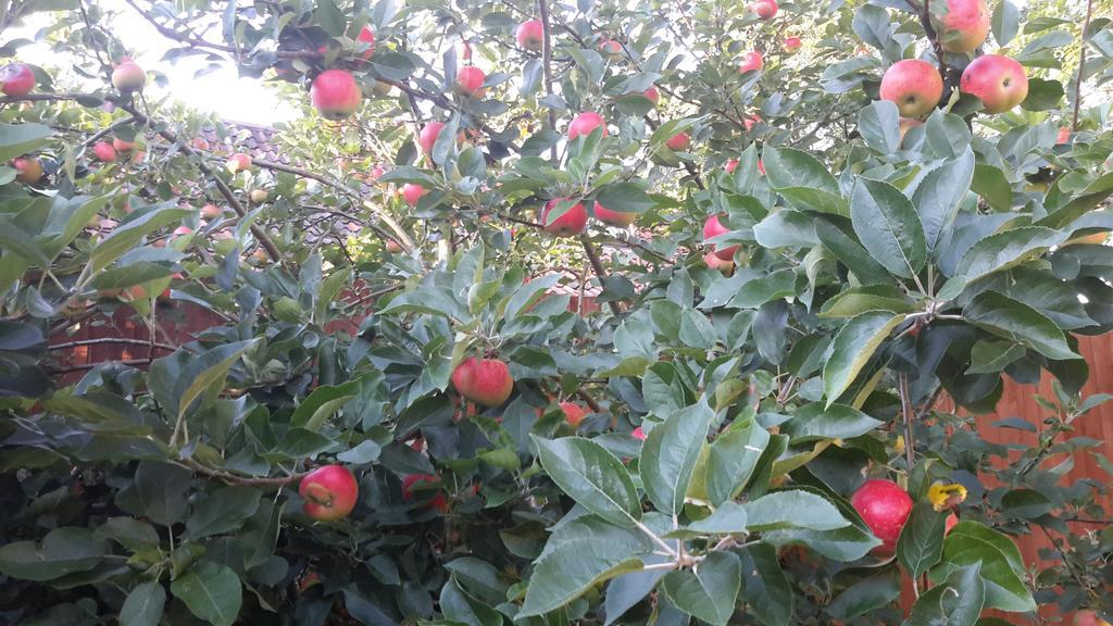 Bridge Farm Guesthouse Rooms Dundry Bagian luar foto