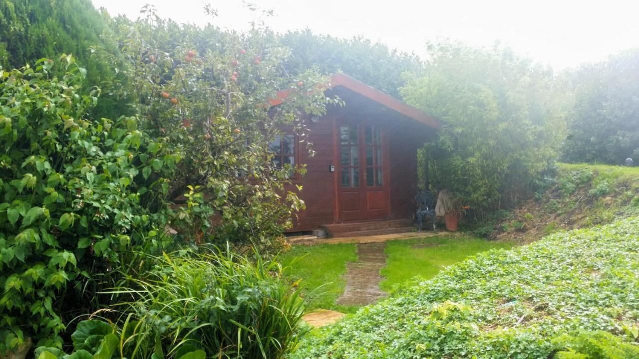 Bridge Farm Guesthouse Rooms Dundry Bagian luar foto